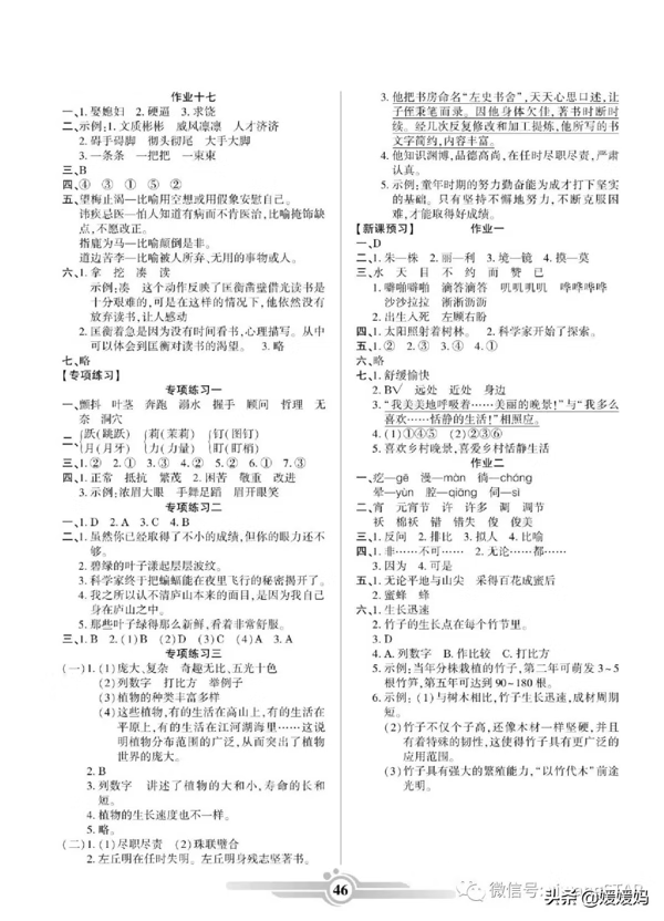 部编版语文四年级（上册）《寒假作业》