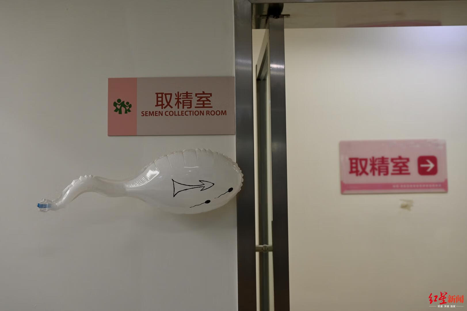 捐精子过程(精子怎么捐献流程)