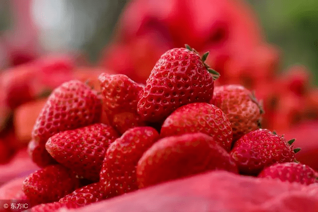 吃草莓可以预防肺炎吗(肺不好能不能吃草莓)