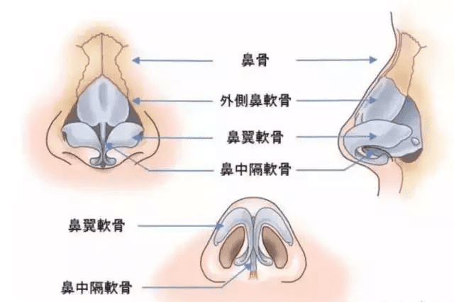 隆鼻精油吧(隆鼻精油真的有用吗)
