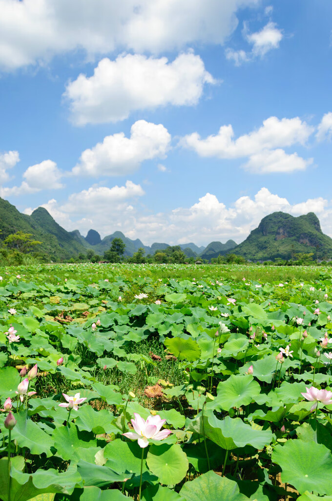 广西百色靖西风水宝地(广西风水宝地大全)