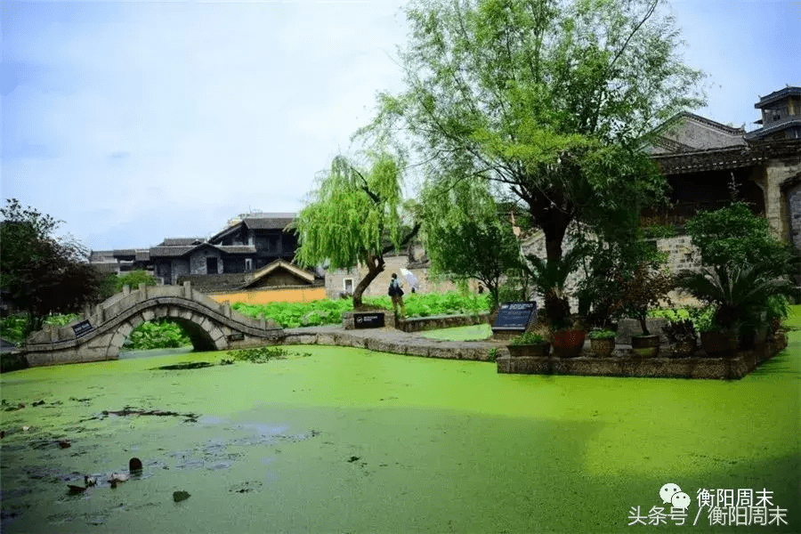 荷花地风水宝地(开莲花的风水宝地)