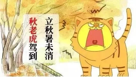 秋老虎什么意思?(秋老虎指的是什么意思)