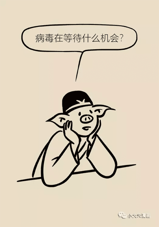 治疗泡诊那个医院好(治疗疱疹的药膏)