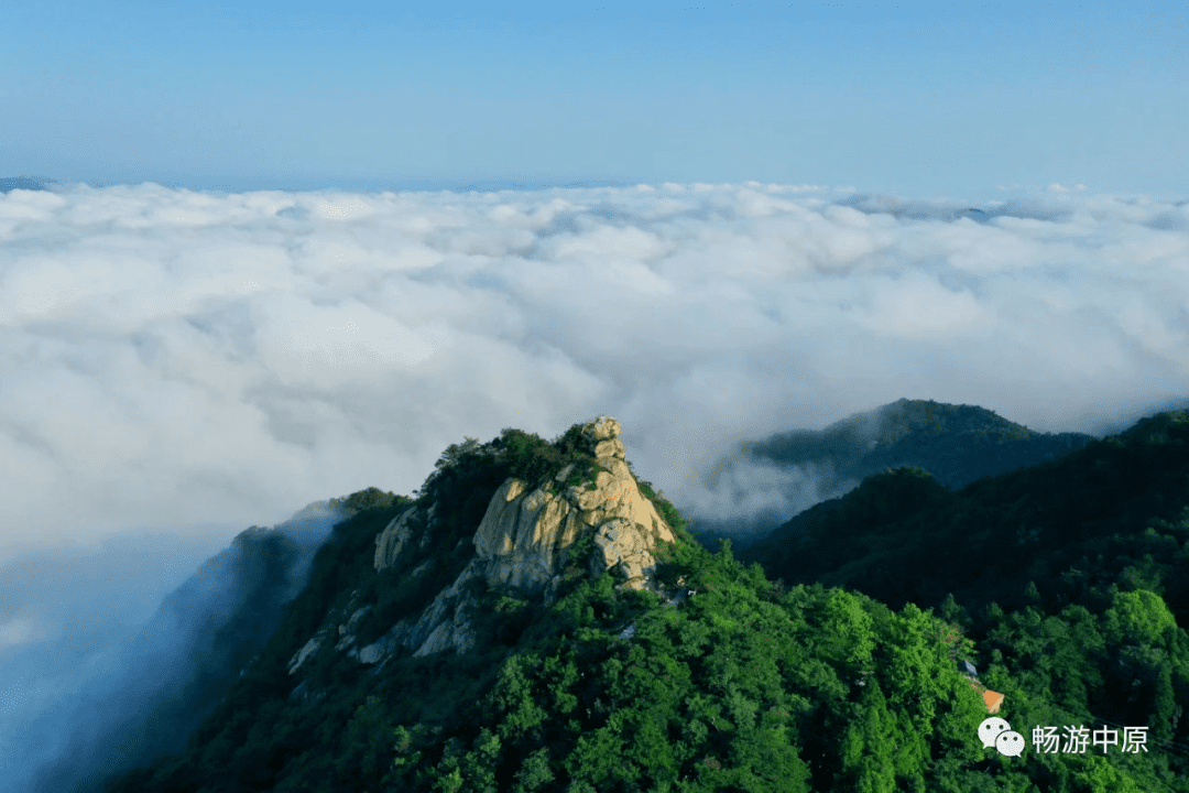 夏季旅游推荐(夏季旅游城市推荐)