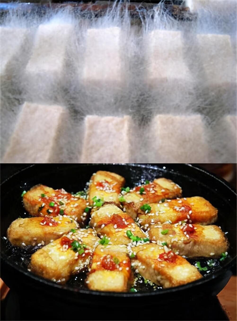 黑毛霉菌感染症状图片(肺部毛霉菌感染的症状)