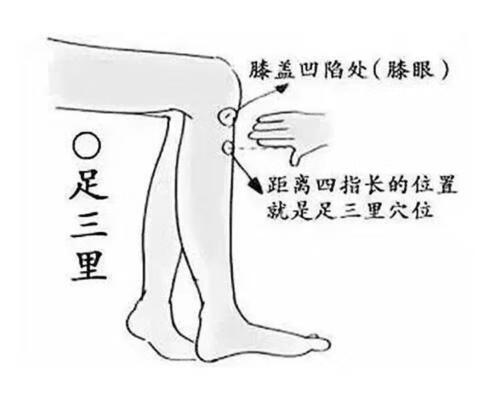 疏肝理气是什么意思(怎样疏肝理气)