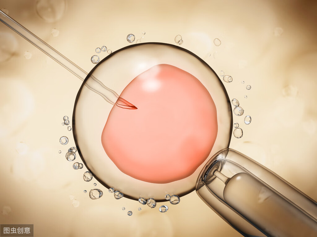 正常精子检查报告单(精子形态分析报告单)
