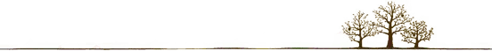 小满是啥子意思(小满啥意思)