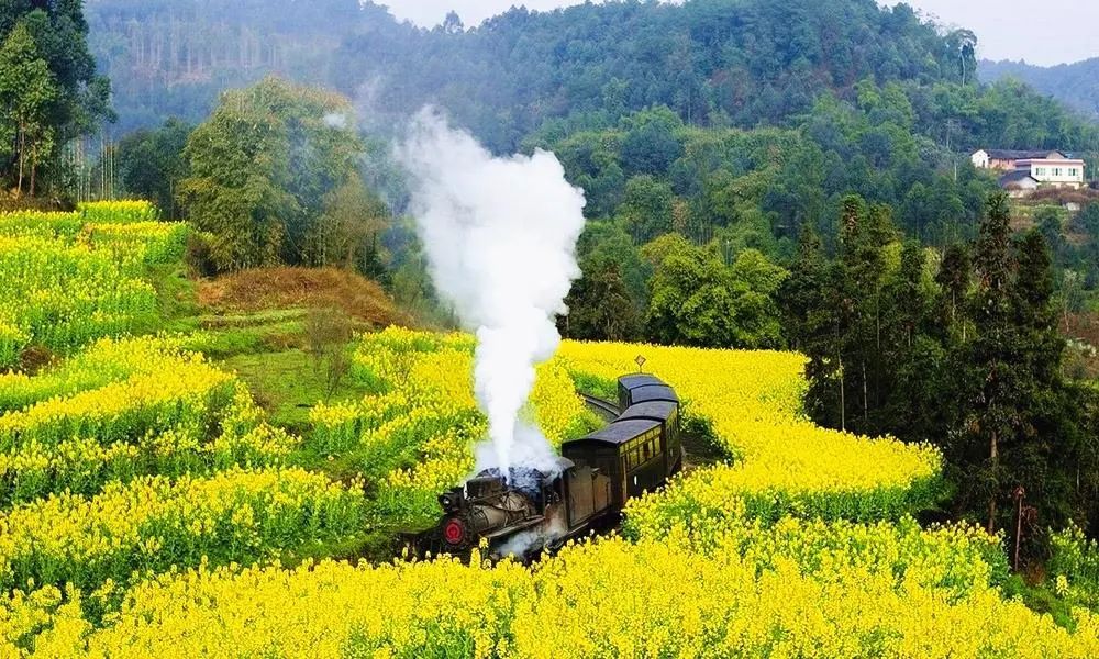 三月份去哪里旅游好呢(三月份去哪里旅游好玩又便宜)