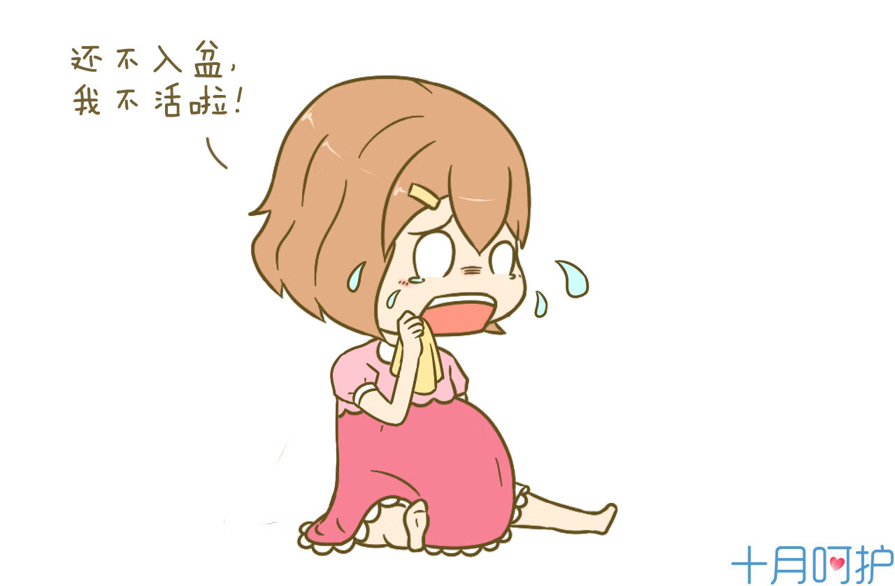 一般入盆后多久会生