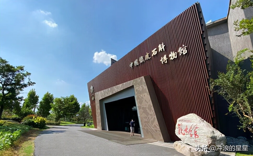 石斛市场价格(一般的石斛市场价是多少一斤)