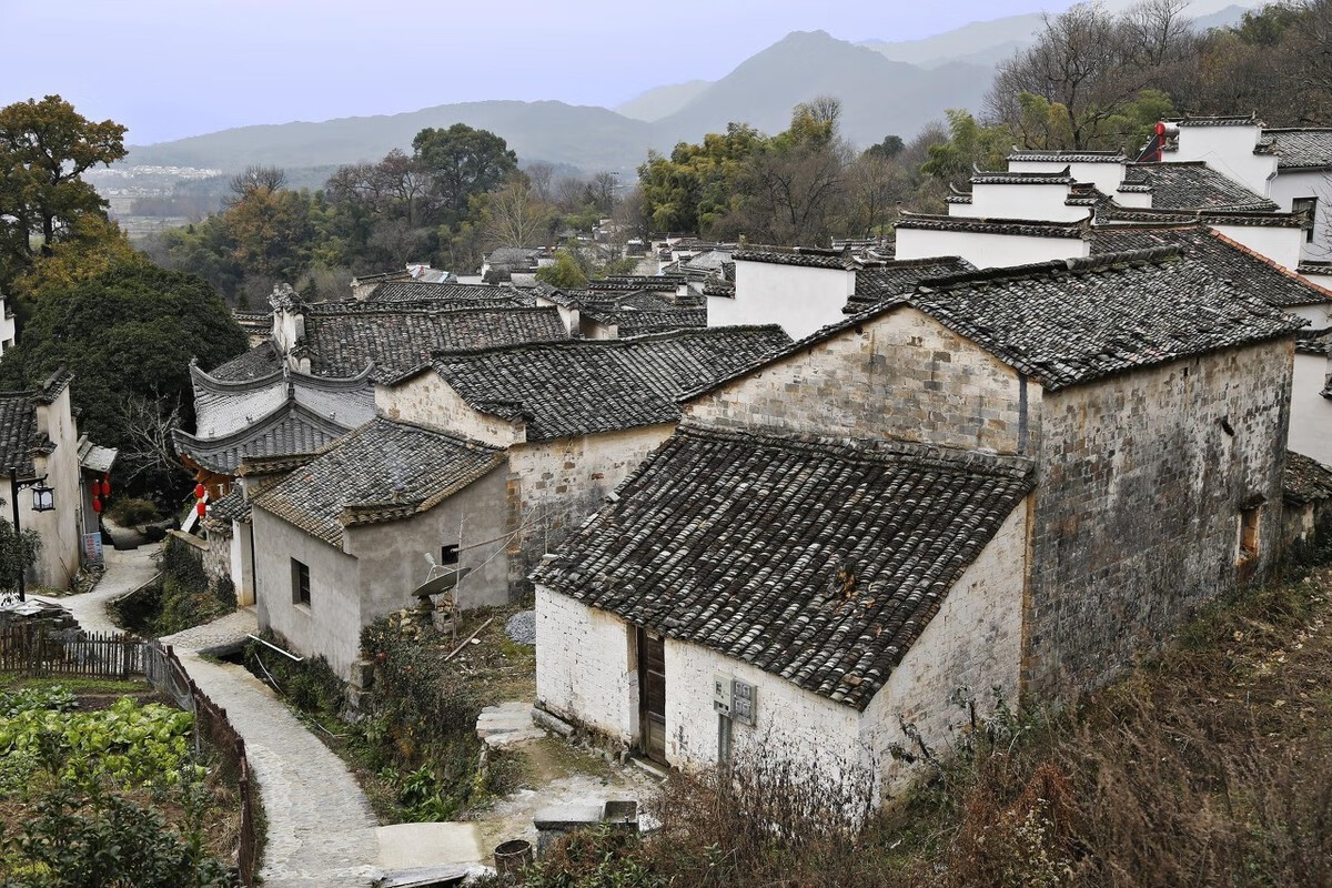 这农村俗语就是其中一道不可磨灭的光,今天我们就来看看这句"前高后洼