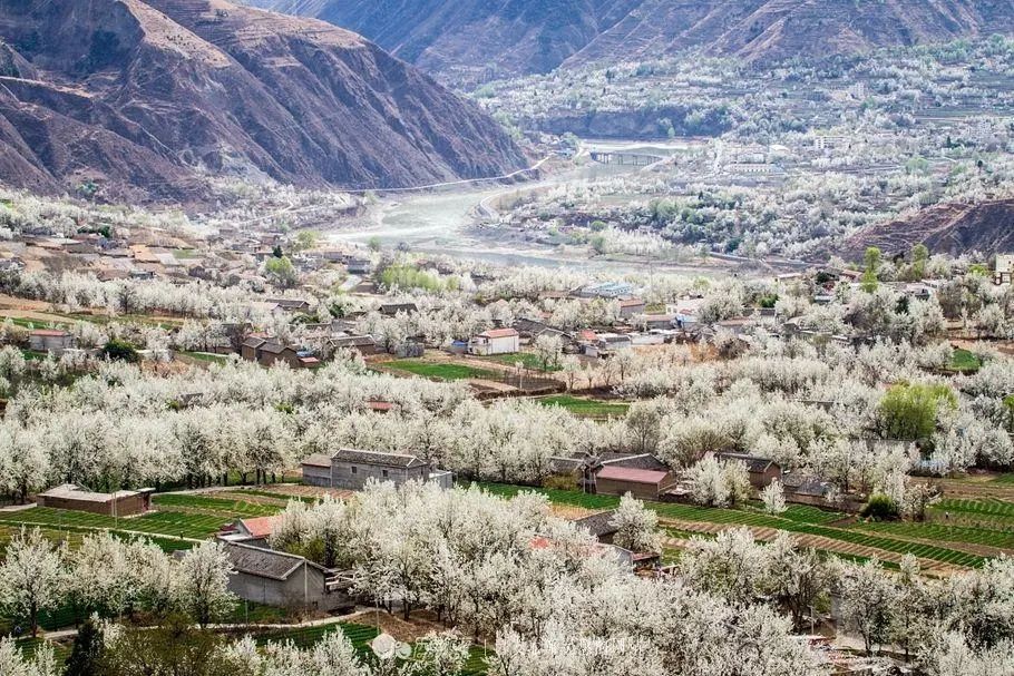 三月份去哪里旅游好呢(三月份去哪里旅游好玩又便宜)