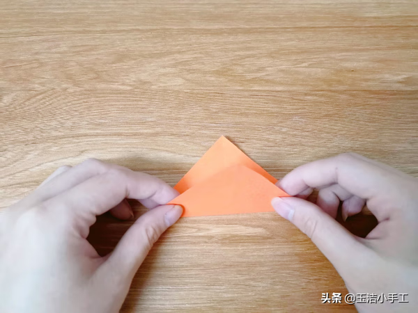 折纸花大全图解步骤(折纸花大全步骤图解)