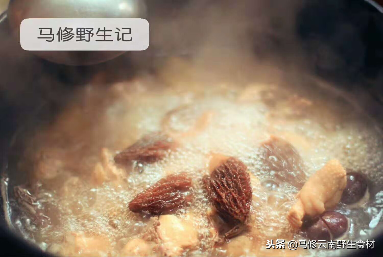 羊肚菌的功效与作用(羊肚菌有什么功效与作用)
