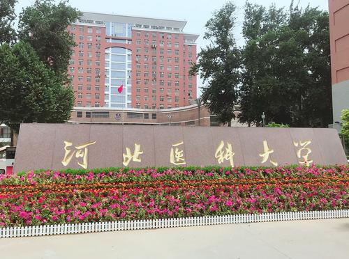 山东第一医科大学(山东第一医科大学算什么档次)