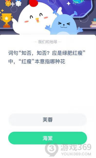 绿肥红瘦指的是什么花?(海棠为什么叫绿肥红瘦)