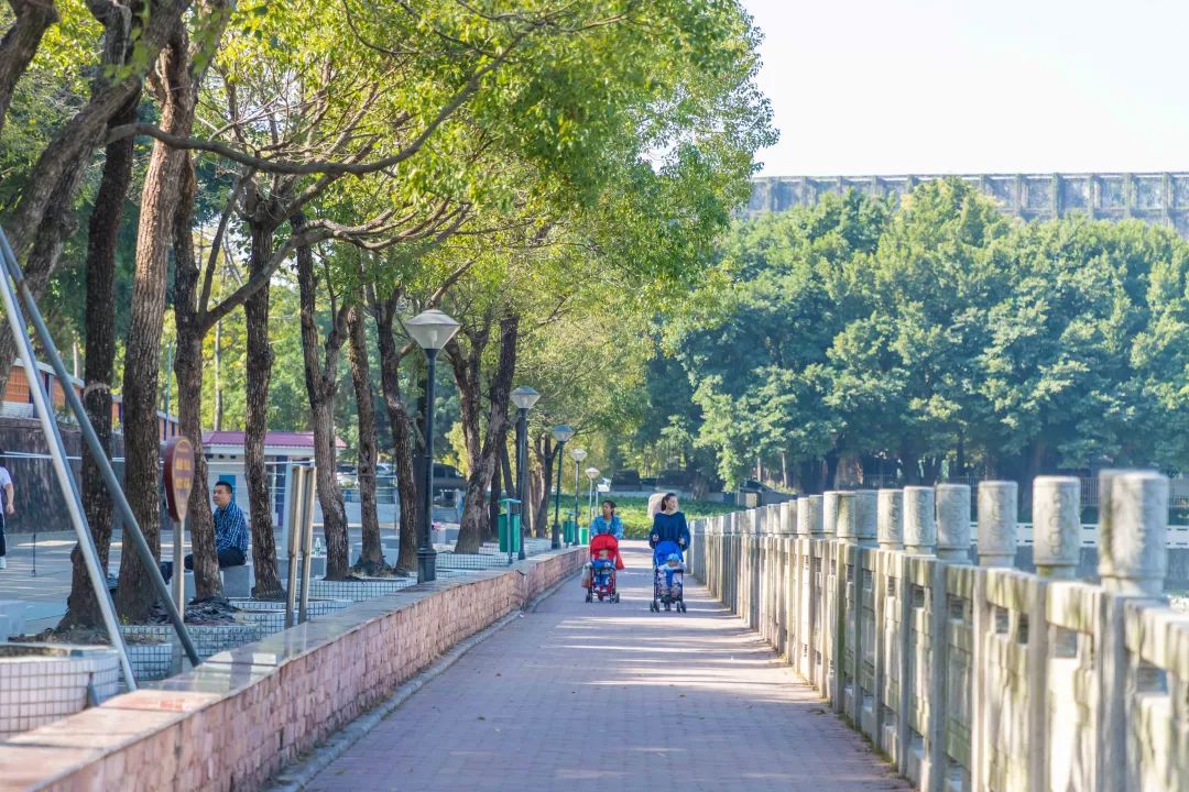 旧水坑森林公园在哪里(番禺旧水坑公园)