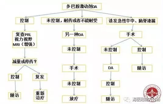 垂體催乳素瘤催乳素是泌乳素嗎