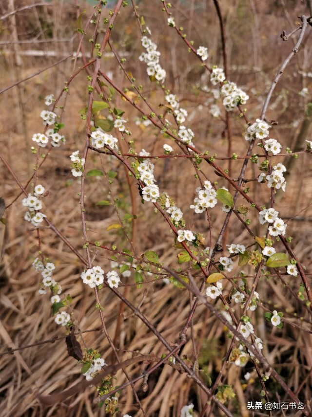 虚幻的意思(说一个人虚幻是什么意思)