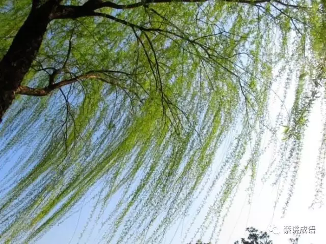 草长莺飞造句子(用草长莺飞造句子长的)