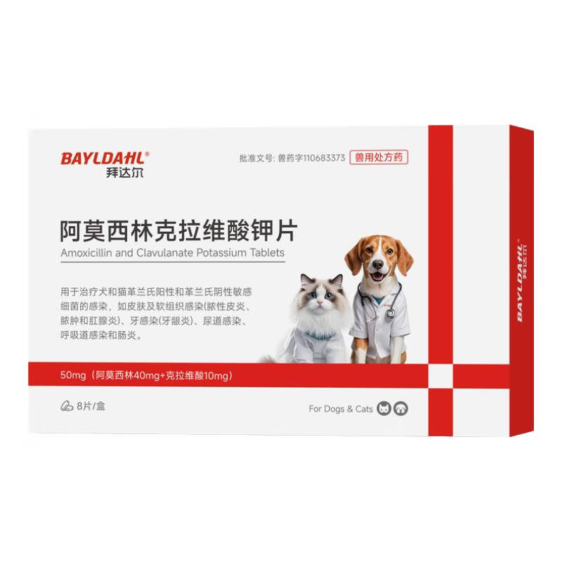 拜达尔【速喏】同款阿莫西林克拉维酸钾片宠物猫咪狗消炎药感冒咳嗽鼻支