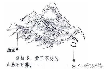 风水龙形地占什么位置(风水中的山龙水龙是什么意思)