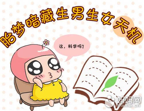 孕妇生男生女的预兆(孕妇生男女都是什么特征)