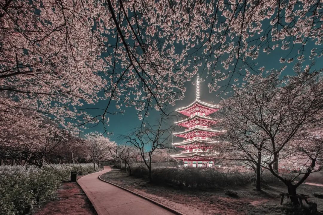 寒假适合去哪里旅游(寒假适合旅游的地方有哪些)