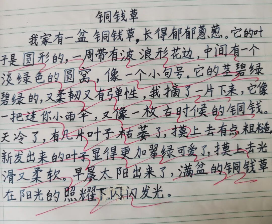 初一作文指导报(如何写好作文初一)