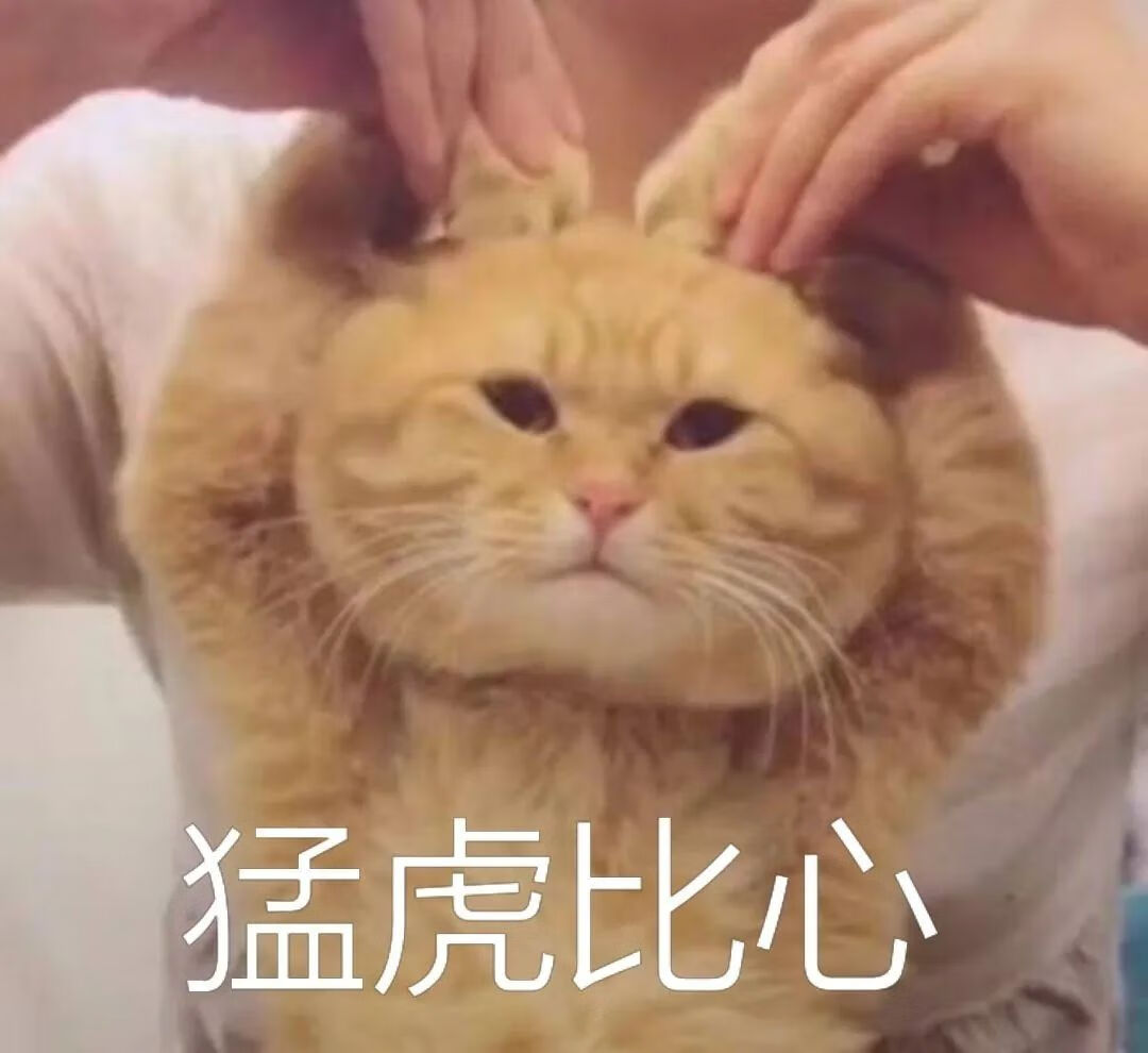 浙江挂号网上预约挂号(浙江在线挂号平台)