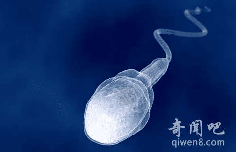 如何让精子流出(办完事怎么能让精子流出来)