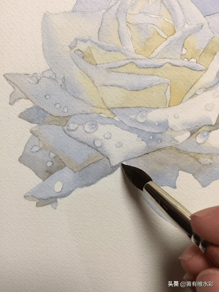 白玫瑰花怎么画白玫瑰油画