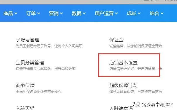 网店怎么改名(道聚城买的改名卡在哪里)