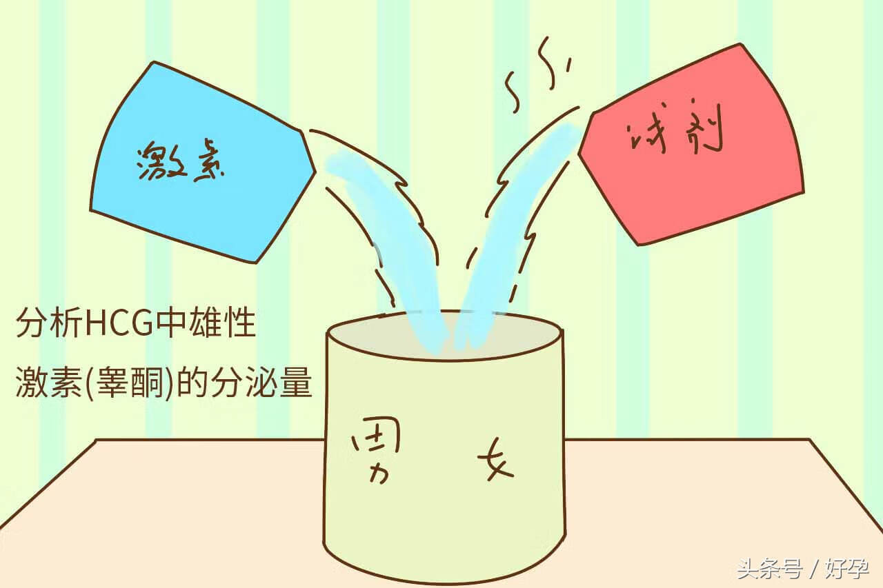 胎儿性别试纸准不(胎儿性别试纸哪里买)