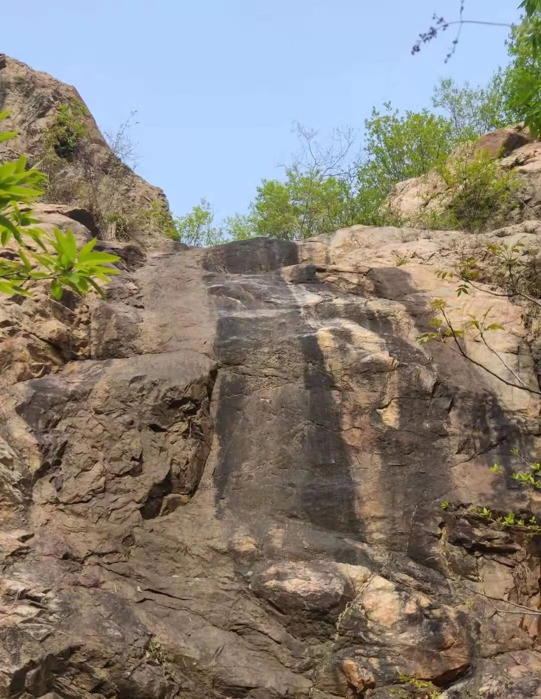 上山龙风水宝地(九龙缠顶风水宝地)