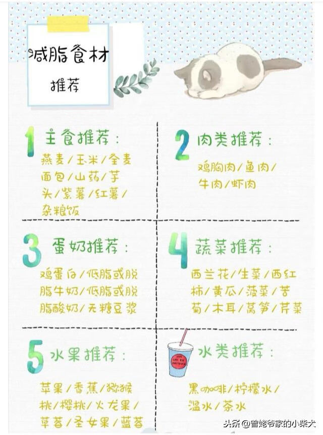 减肥计划表格式(减肥表格模板简单)