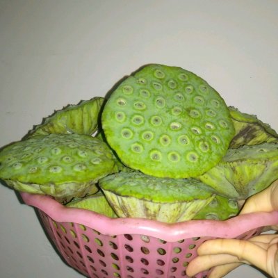 莲蓬怎么吃好吃(莲蓬的吃法与功效)