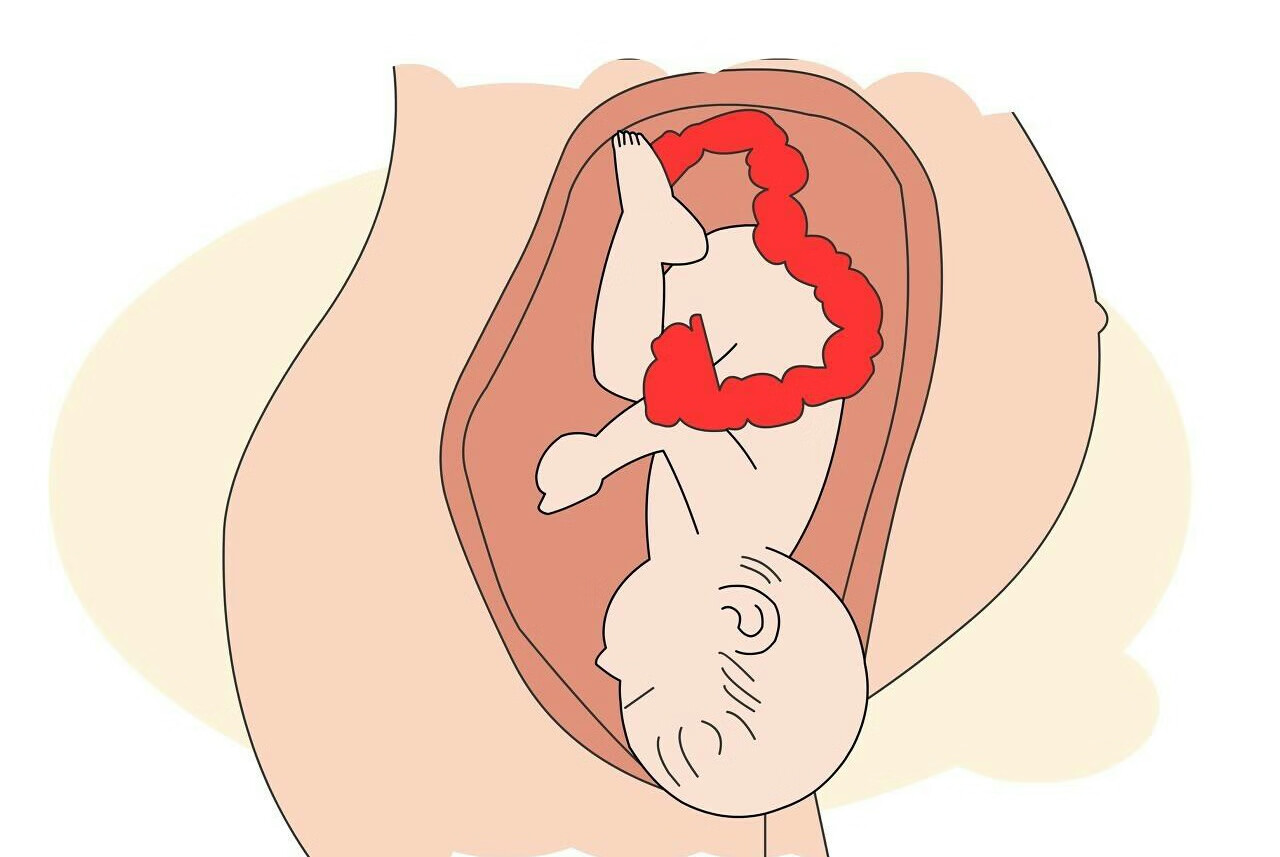 孕39周胎儿双顶径标准(怀孕36周双顶径多少正常)