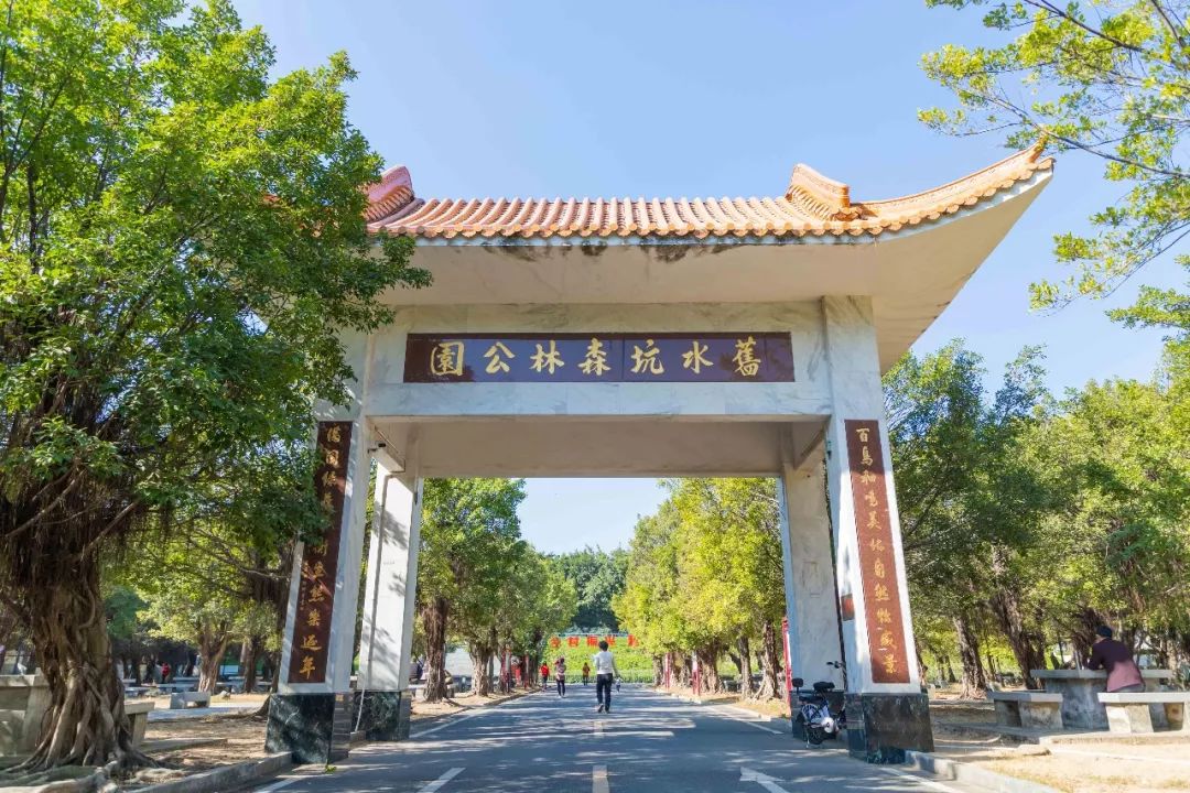旧水坑森林公园在哪里(番禺旧水坑公园)
