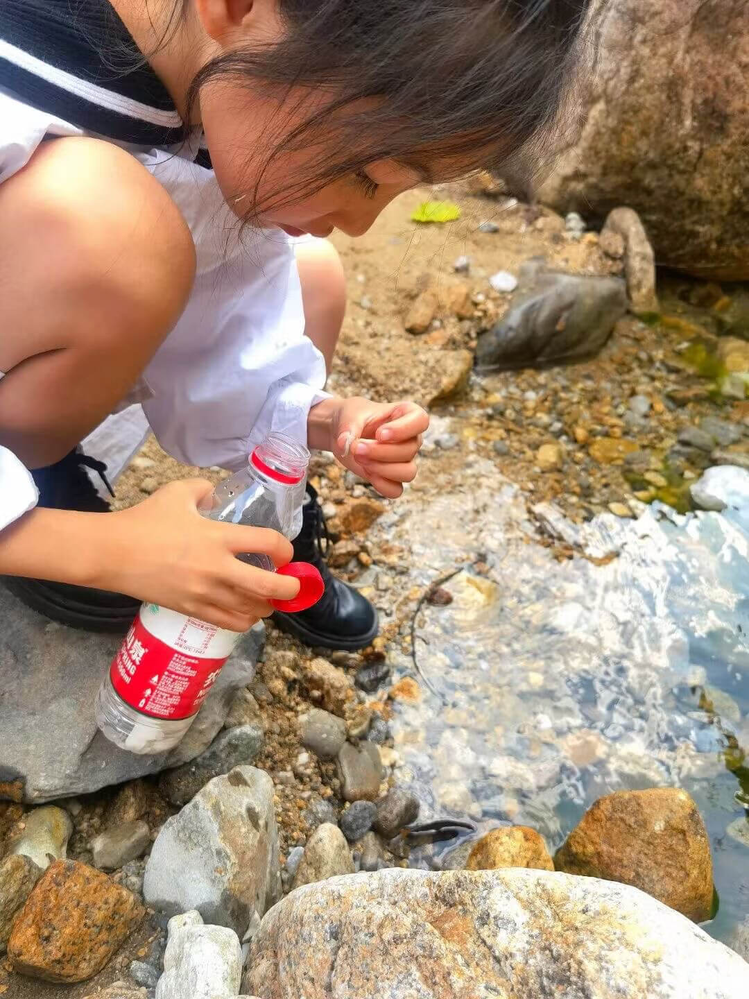 一览众山小(一览众山小有何比喻意)