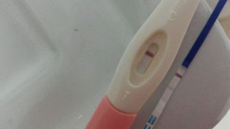 一般验孕棒多少钱
