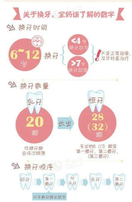 儿童换牙先换上面还是下面(儿童牙齿怎么换牙)