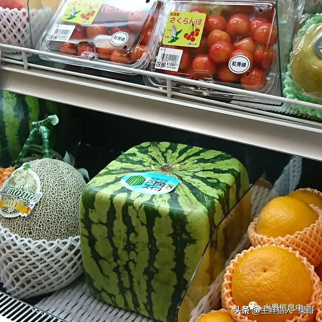 果(果蓏)