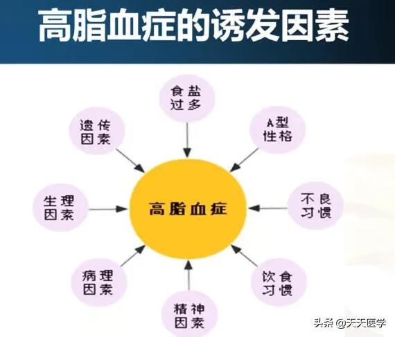 血脂异常什么意思(血脂异常是什么意思)