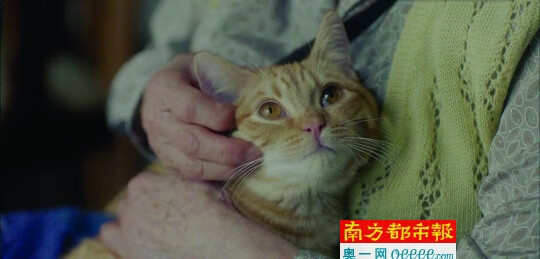 315药品价格查询官网怎么样(315医药网官网网上药店)