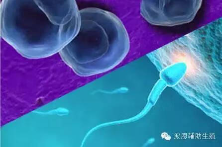 体外射怀孕的可能性多少 有怀孕得吗(一招知道自己怀孕了)
