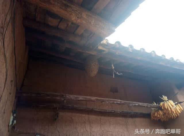 三台马蜂治理策略与经验分享