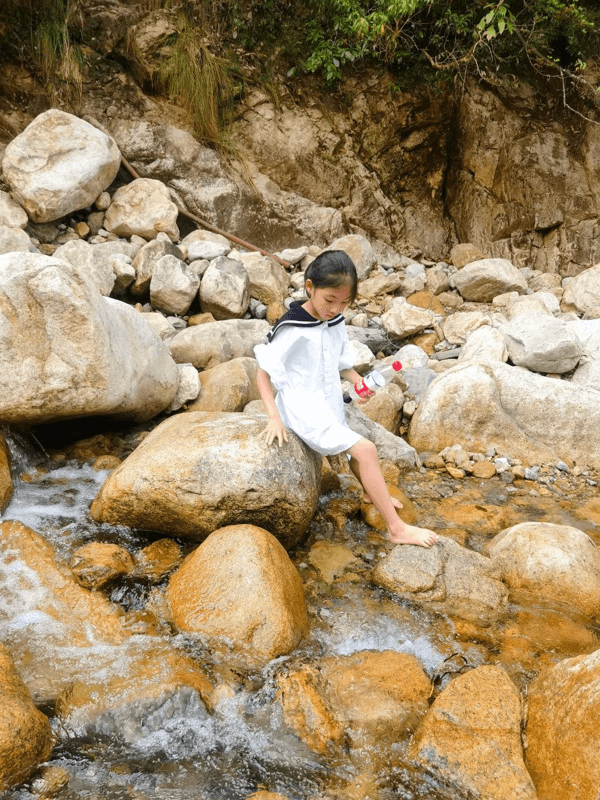 一览众山小(一览众山小有何比喻意)